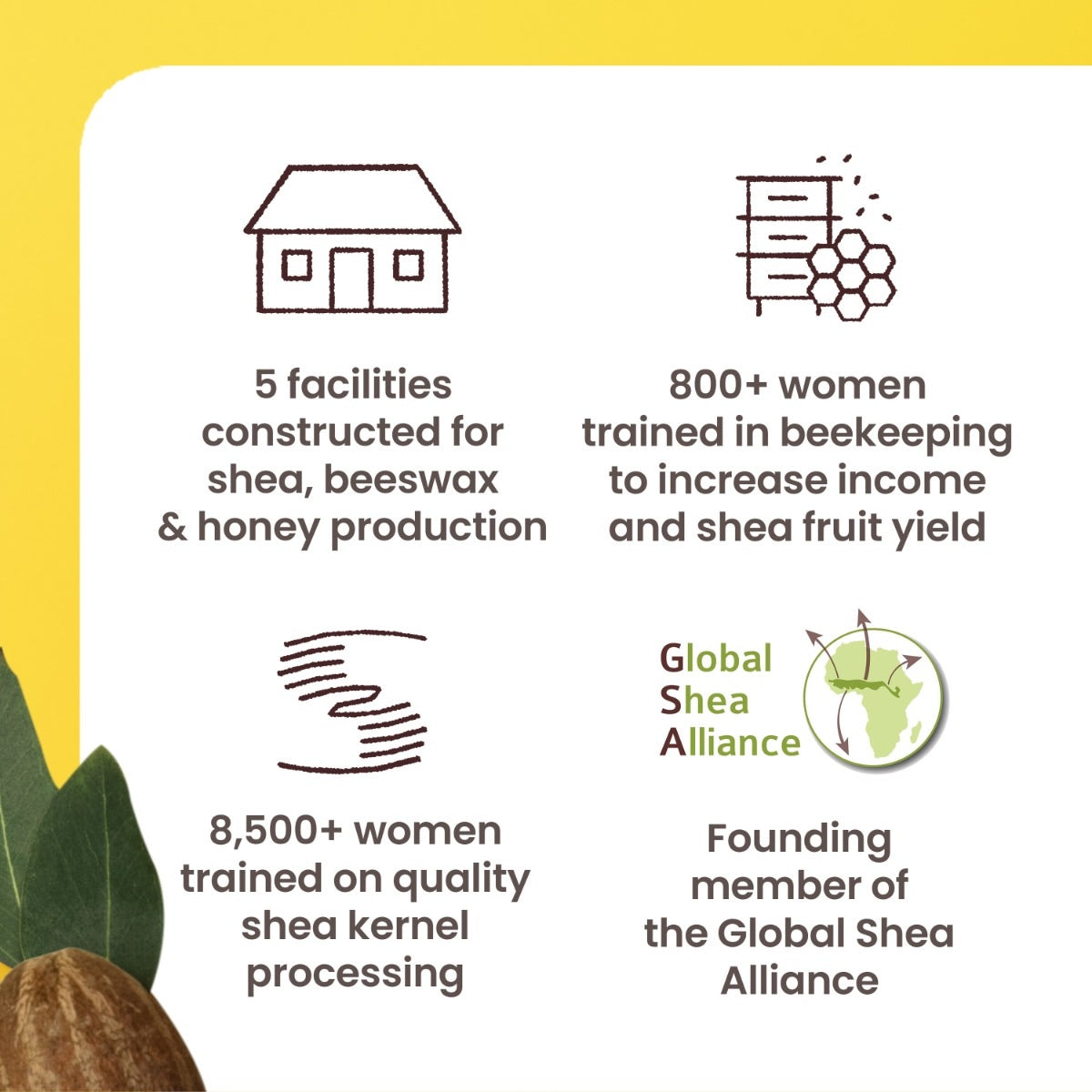 Shea + Mango Hand & Body Butter